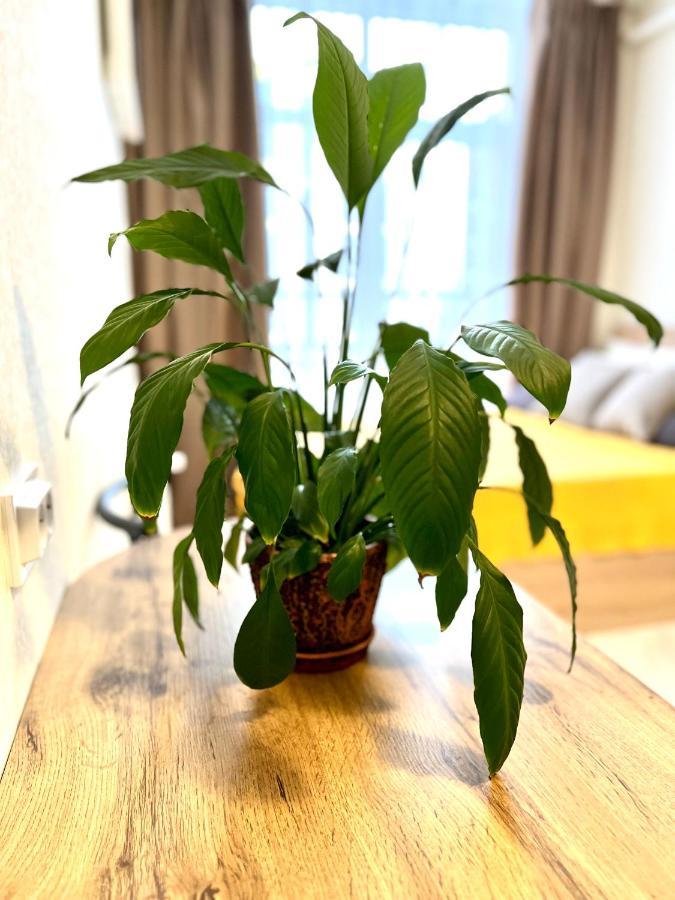 Osapart Hotel In A Complex Semycvit 3 Лвив Екстериор снимка